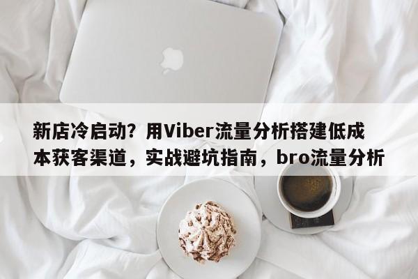 新店冷启动？用Viber流量分析搭建低成本获客渠道，实战避坑指南，bro流量分析