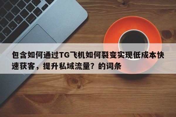 包含如何通过TG飞机如何裂变实现低成本快速获客，提升私域流量？的词条