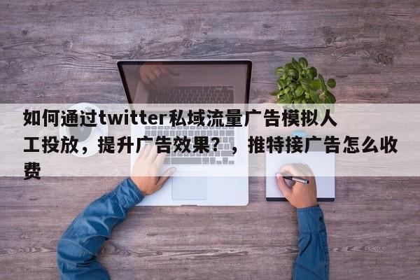 如何通过twitter私域流量广告模拟人工投放，提升广告效果？，推特接广告怎么收费