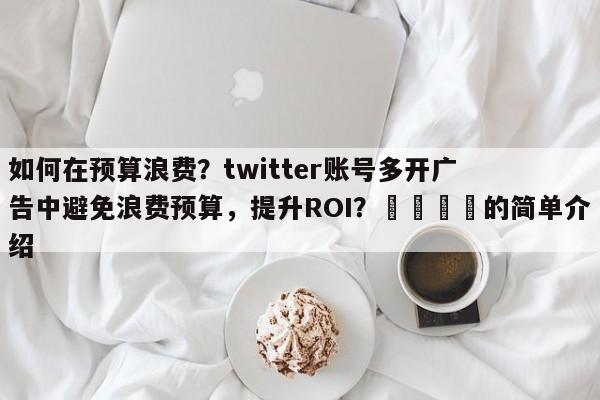 如何在预算浪费？twitter账号多开广告中避免浪费预算，提升ROI？📌的简单介绍
