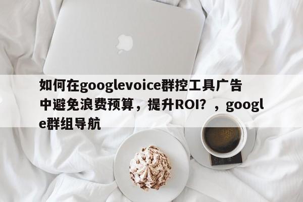 如何在googlevoice群控工具广告中避免浪费预算，提升ROI？，google群组导航