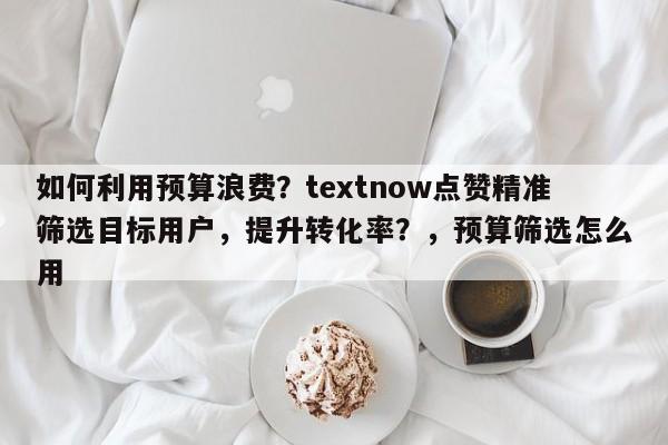 如何利用预算浪费？textnow点赞精准筛选目标用户，提升转化率？，预算筛选怎么用