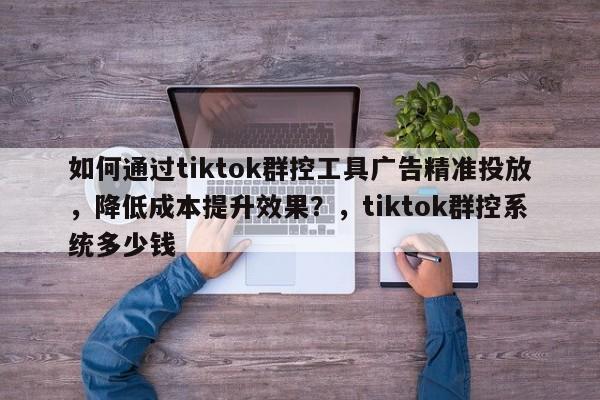 如何通过tiktok群控工具广告精准投放，降低成本提升效果？，tiktok群控系统多少钱