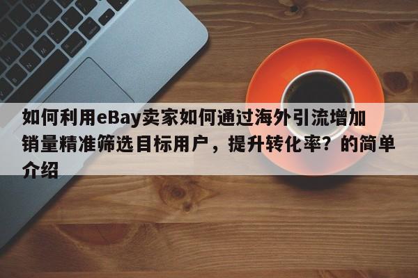 如何利用eBay卖家如何通过海外引流增加销量精准筛选目标用户，提升转化率？的简单介绍