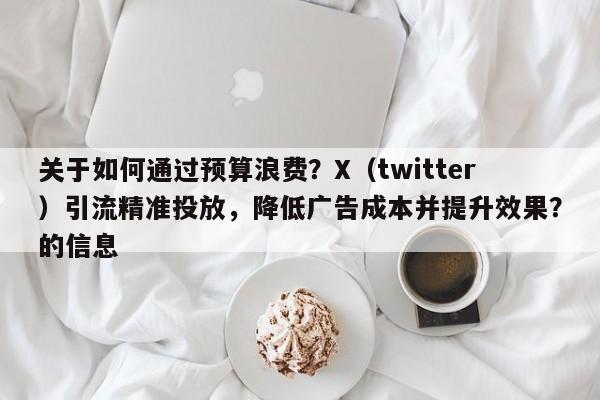 关于如何通过预算浪费？X（twitter）引流精准投放，降低广告成本并提升效果？的信息
