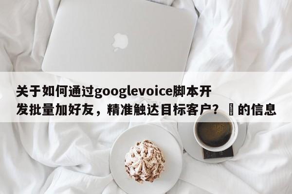 关于如何通过googlevoice脚本开发批量加好友，精准触达目标客户？⚡的信息