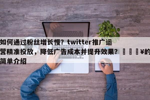 如何通过粉丝增长慢？twitter推广运营精准投放，降低广告成本并提升效果？🔥的简单介绍