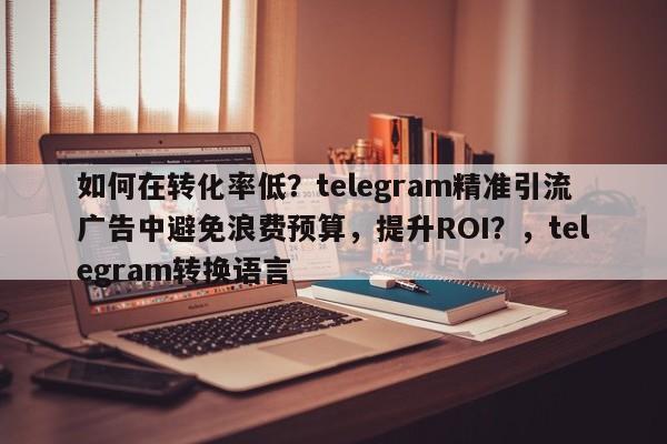 如何在转化率低？telegram精准引流广告中避免浪费预算，提升ROI？，telegram转换语言