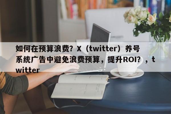 如何在预算浪费？X（twitter）养号系统广告中避免浪费预算，提升ROI？，twitter