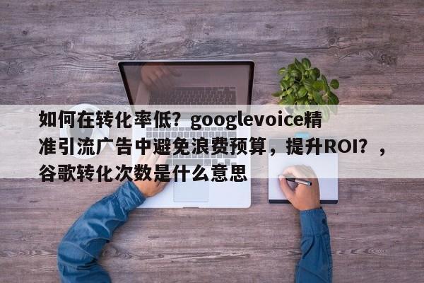 如何在转化率低？googlevoice精准引流广告中避免浪费预算，提升ROI？，谷歌转化次数是什么意思