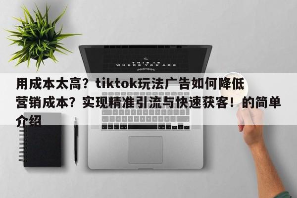 用成本太高?tiktok玩法广告如何降低营销成本?实现精准引流与快速获客!的简单介绍