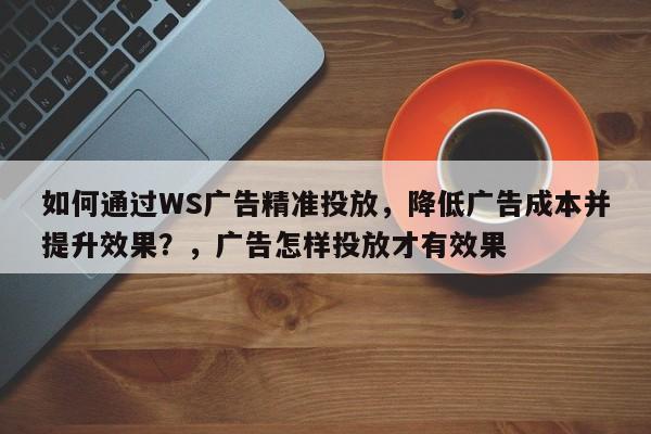 如何通过WS广告精准投放，降低广告成本并提升效果？，广告怎样投放才有效果