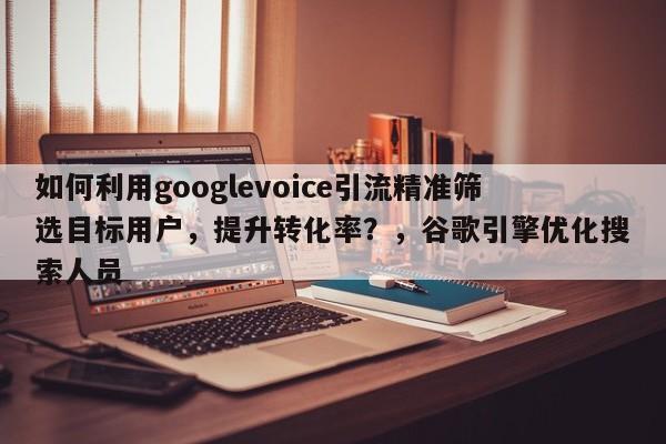 如何利用googlevoice引流精准筛选目标用户，提升转化率？，谷歌引擎优化搜索人员
