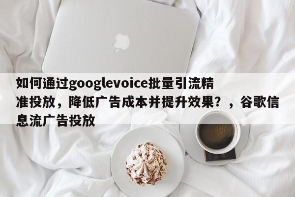 如何通过googlevoice批量引流精准投放，降低广告成本并提升效果？，谷歌信息流广告投放