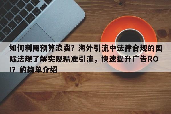 如何利用预算浪费？海外引流中法律合规的国际法规了解实现精准引流，快速提升广告ROI？的简单介绍