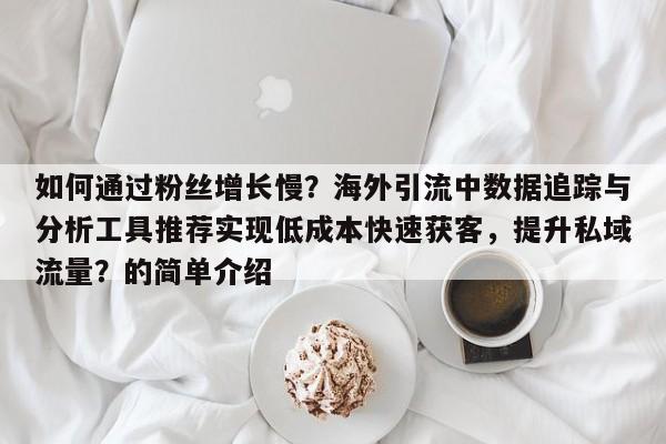 如何通过粉丝增长慢？海外引流中数据追踪与分析工具推荐实现低成本快速获客，提升私域流量？的简单介绍