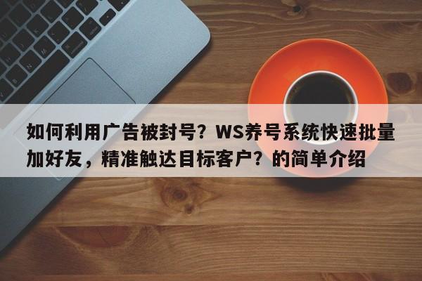 如何利用广告被封号？WS养号系统快速批量加好友，精准触达目标客户？的简单介绍
