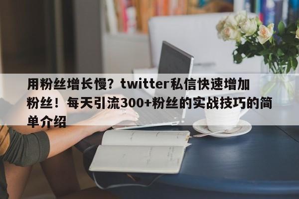 用粉丝增长慢?twitter私信快速增加粉丝!每天引流300+粉丝的实战技巧的简单介绍