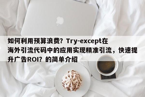 如何利用预算浪费？Try-except在海外引流代码中的应用实现精准引流，快速提升广告ROI？的简单介绍