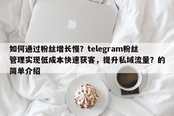 如何通过粉丝增长慢？telegram粉丝管理实现低成本快速获客，提升私域流量？的简单介绍