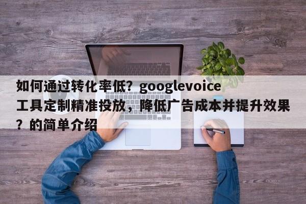 如何通过转化率低?googlevoice工具定制精准投放,降低广告成本并提升效果?的简单介绍