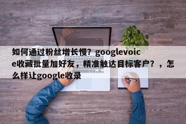 如何通过粉丝增长慢？googlevoice收藏批量加好友，精准触达目标客户？，怎么样让google收录