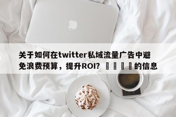 关于如何在twitter私域流量广告中避免浪费预算，提升ROI？📣的信息