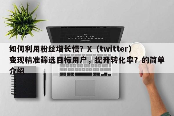 如何利用粉丝增长慢？X（twitter）变现精准筛选目标用户，提升转化率？的简单介绍