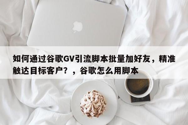 如何通过谷歌GV引流脚本批量加好友，精准触达目标客户？，谷歌怎么用脚本