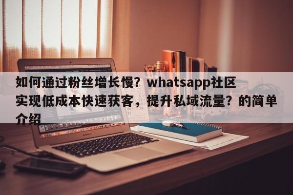 如何通过粉丝增长慢？whatsapp社区实现低成本快速获客，提升私域流量？的简单介绍