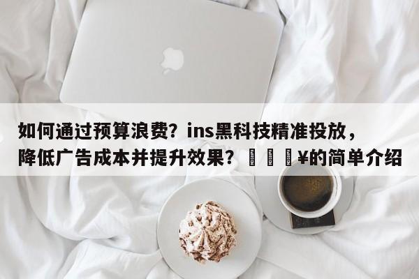 如何通过预算浪费？ins黑科技精准投放，降低广告成本并提升效果？💥的简单介绍