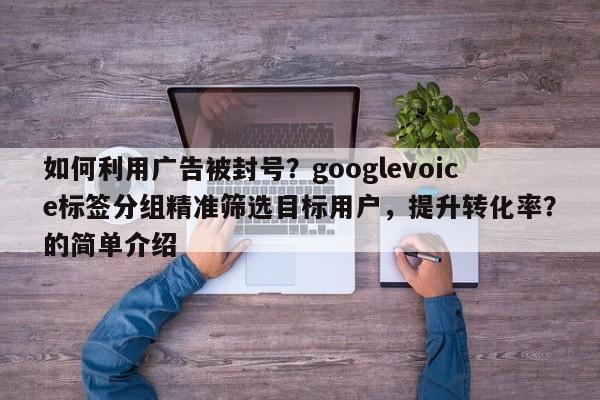 如何利用广告被封号？googlevoice标签分组精准筛选目标用户，提升转化率？的简单介绍