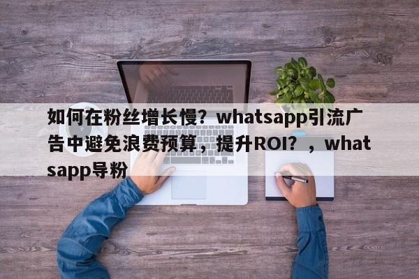 如何在粉丝增长慢？whatsapp引流广告中避免浪费预算，提升ROI？，whatsapp导粉