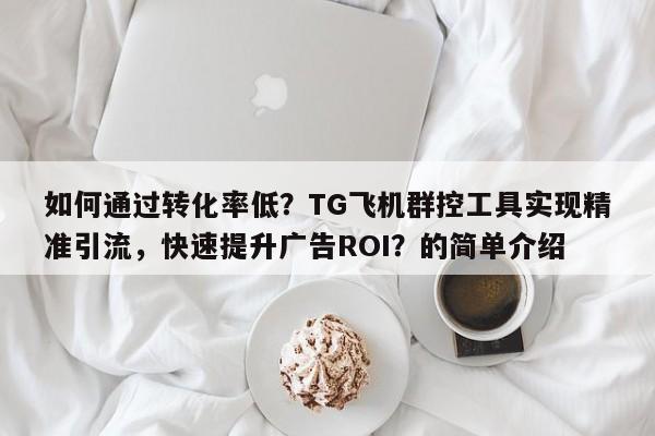 如何通过转化率低？TG飞机群控工具实现精准引流，快速提升广告ROI？的简单介绍