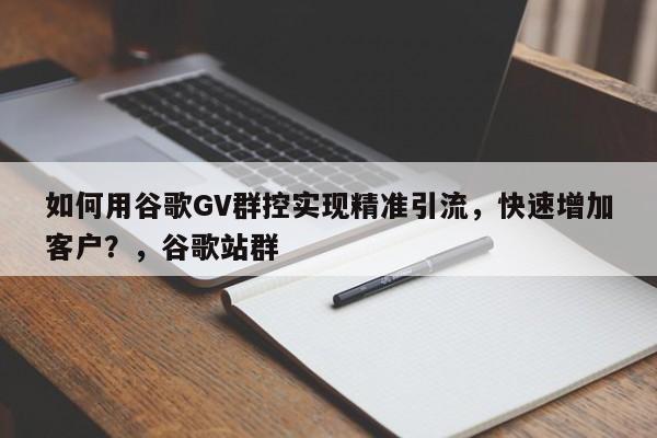 如何用谷歌GV群控实现精准引流，快速增加客户？，谷歌站群