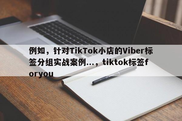 例如，针对TikTok小店的Viber标签分组实战案例...，tiktok标签foryou