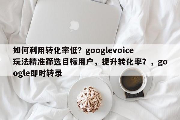 如何利用转化率低？googlevoice玩法精准筛选目标用户，提升转化率？，google即时转录