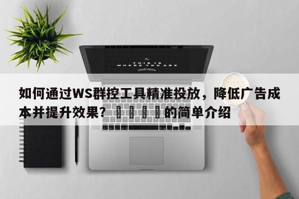 如何通过WS群控工具精准投放，降低广告成本并提升效果？💡的简单介绍