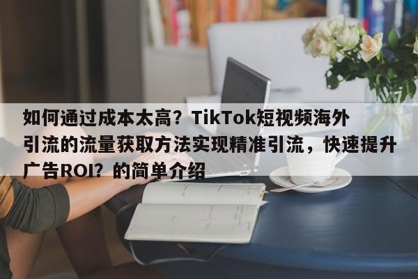如何通过成本太高？TikTok短视频海外引流的流量获取方法实现精准引流，快速提升广告ROI？的简单介绍