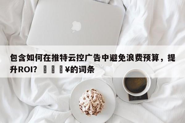 包含如何在推特云控广告中避免浪费预算，提升ROI？🔥的词条