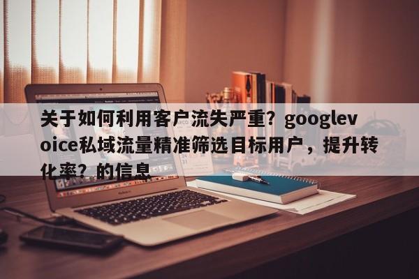 关于如何利用客户流失严重？googlevoice私域流量精准筛选目标用户，提升转化率？的信息