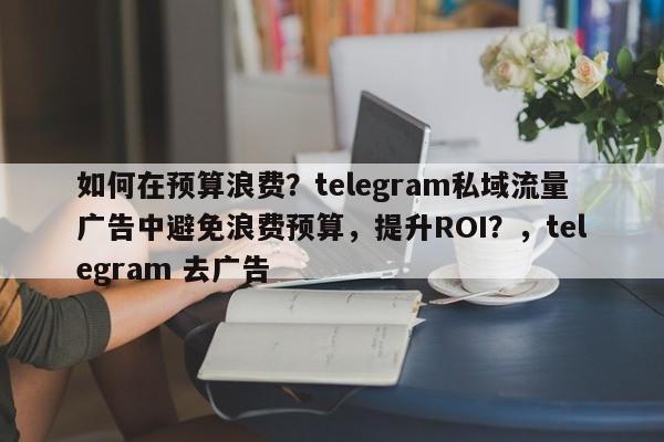如何在预算浪费？telegram私域流量广告中避免浪费预算，提升ROI？，telegram 去广告