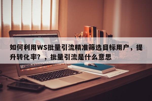 如何利用WS批量引流精准筛选目标用户，提升转化率？，批量引流是什么意思