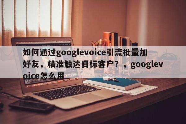 如何通过googlevoice引流批量加好友，精准触达目标客户？，googlevoice怎么用
