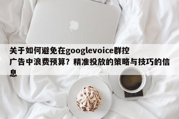 关于如何避免在googlevoice群控广告中浪费预算?精准投放的策略与技巧的信息
