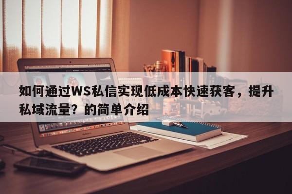 如何通过WS私信实现低成本快速获客，提升私域流量？的简单介绍