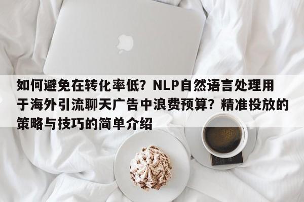 如何避免在转化率低？NLP自然语言处理用于海外引流聊天广告中浪费预算？精准投放的策略与技巧的简单介绍