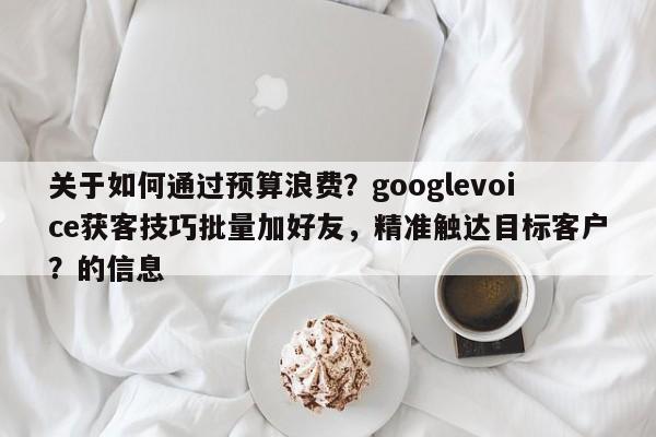 关于如何通过预算浪费?googlevoice获客技巧批量加好友,精准触达目标客户?的信息