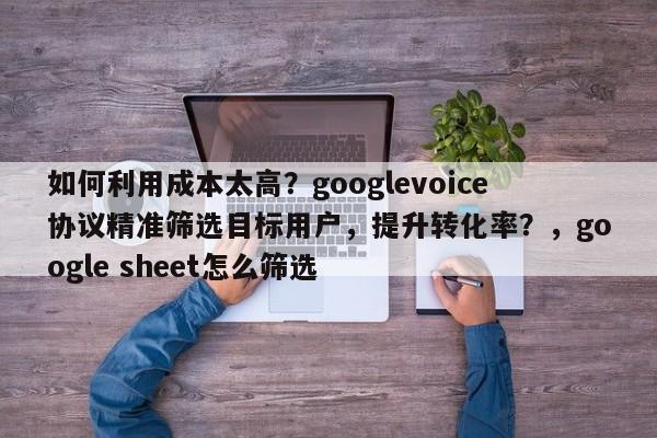 如何利用成本太高?googlevoice协议精准筛选目标用户,提升转化率?,google sheet怎么筛选