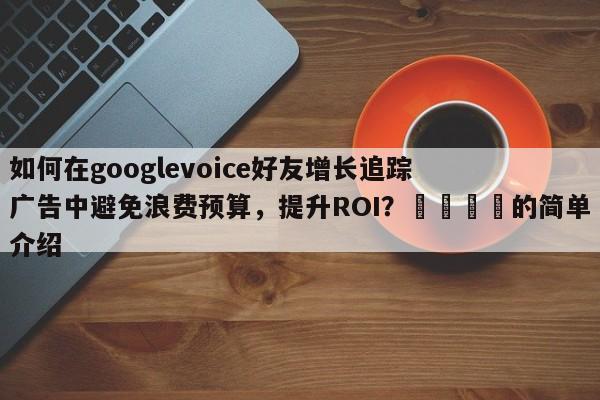 如何在googlevoice好友增长追踪广告中避免浪费预算，提升ROI？📣的简单介绍